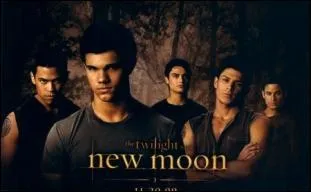 Nous sommes des loups-garous et l'un de nous est le chef ?