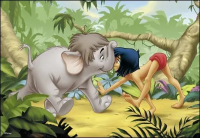 Dans "Le livre de la jungle", qui sont les deux amis qui ont recueilli Mowgli ?