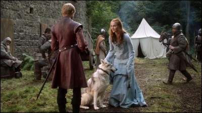 Sansa a un loup. Comment se nomme-t-il ? (Saison 1)