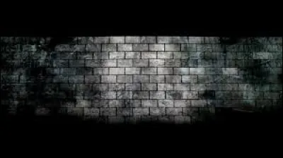 Le mur de Berlin ou "Mur de la honte" a été construit en août 1961 mais en combien de temps ?