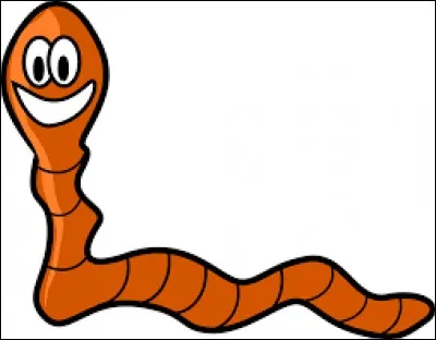 Comment appelle-t-on cet animal ?