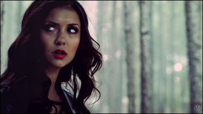 Dans la saison 4 (dans les premiers épisodes), Elena n'arrive à boire que...