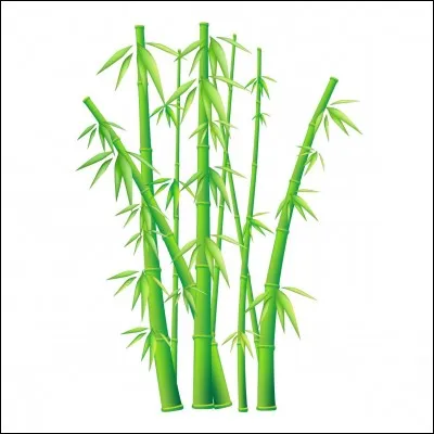 Quel animal mange du bambou ?