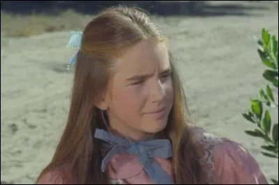 Dans quelle série télévisée retrouve-t-on la jolie Laura Ingalls ?