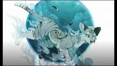 Que veut-il faire à l'Assemblée ?