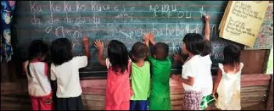 En 2016, quels pays ont un taux d'alphabétisation de 100% ?