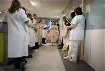 En 2015, dans quels pays y a-t-il le plus de médecins par habitant ?