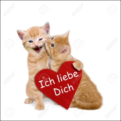 Qui est la compagne d'Etoile de Feu ?