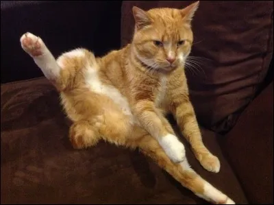 Quel est son grade ?