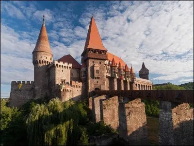 Où se situe le château d'Hunedoara ?
