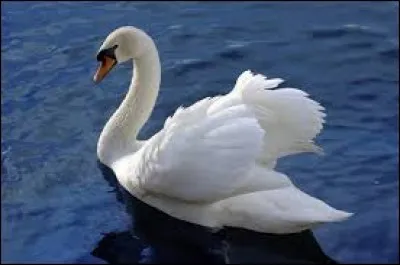 Complétez le titre de cette chanson de Jean-Jacques Goldman : "Il suffira d'un...