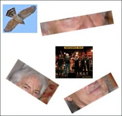 Quel est ce chanteur qui s'est fait voler sa colombe par un épervier ?