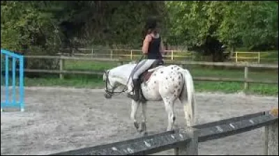 Comment s'appelle ce cheval que Sonia a eu en dressage ?