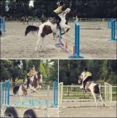 Comment s'appelle ce cheval qui saute avec Sonia ?