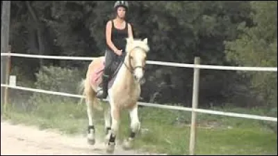 Comment s'appelle ce cheval que Juliette a eu en dressage ?