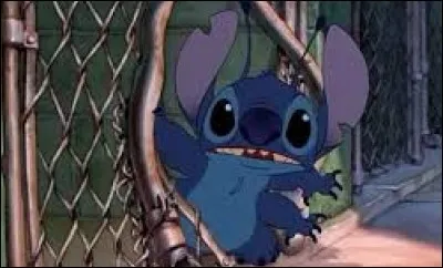 Combien Stitch a-t-il coûté lors de l'adoption ?