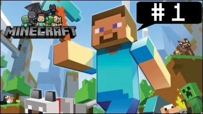 Comment appelle-t-on un joueur de Minecraft ?