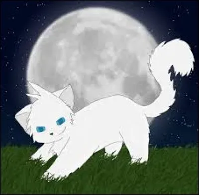 Pelage de Neige et Griffe d'Épine ont-ils eu des petits ?