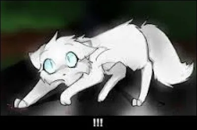 Comment meurt Pelage de Neige ?