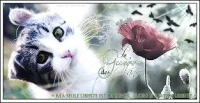 Étoile Bleue s'excuse-t-elle ?