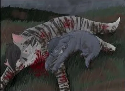 Dans cette bataille, qui meurt du côté du clan du Tonnerre ?