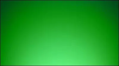 Ma couleur préférée est le __.