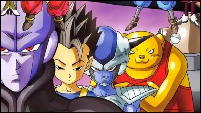 Qui sont les combattants de l'univers 6 durant le tournoi de Champa ?