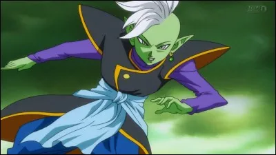 Qui est Zamasu ?