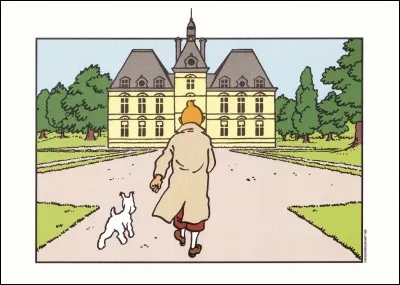 Comment se nomme le château où Tintin et ses amis vont ?