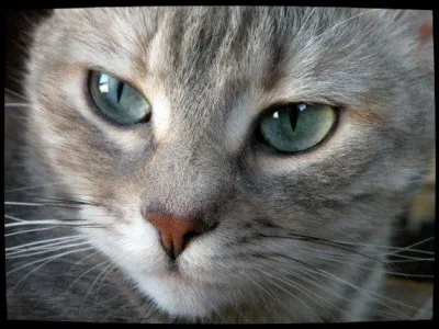 A quel clan a appartenu et appartient Rivière d'Argent ?