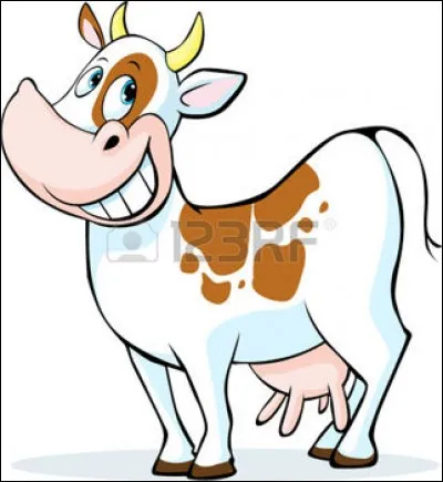 Qu'avez-vous mangé si vous avez parfaitement réussi ce quiz en un temps record ?