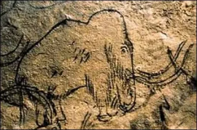 Grotte longue de plus de 8 km, cette dernière est une des plus grandes cavernes ornées d'Europe. La visite se fait en train électrique sur une distance de 4 km aller-retour dans les galeries principales, où l'on peut, notamment, contempler la célèbre "grotte des Cent Mammouths", ornée d'un remarquable ensemble de dessins au trait noir et de gravure. Quel est le nom de ce lieu, situé en Dordogne ?