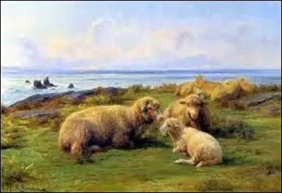 Pouvez-vous me citer le nom de ce peintre animalier(ère), qui créa cette oeuvre, en 1865, intitulée "Moutons sur mer" ou "Moutons au bord de la Mer" ?