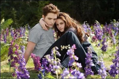 Quel est ce couple très connu ?