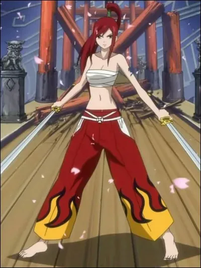 Combien a-t-elle d'armures ?