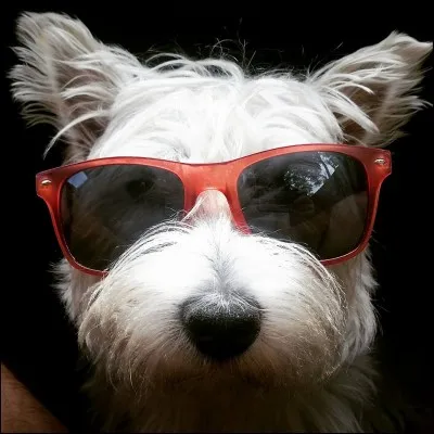 Quelque chose qu'on dit souvent de vous :