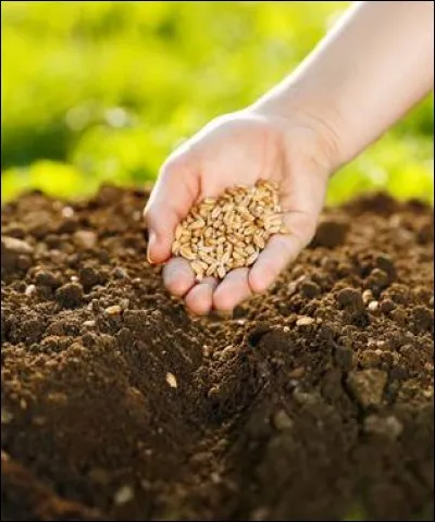 Le mot commence par "L'ami" :