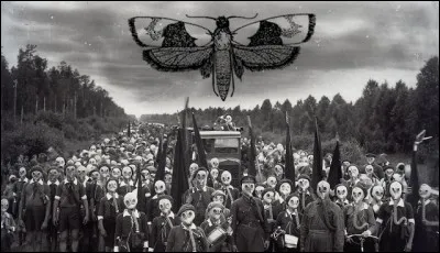 À quoi s'attaque le Phylloxéra ?