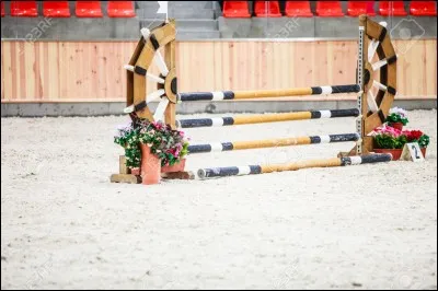 Quel est cet obstacle ?