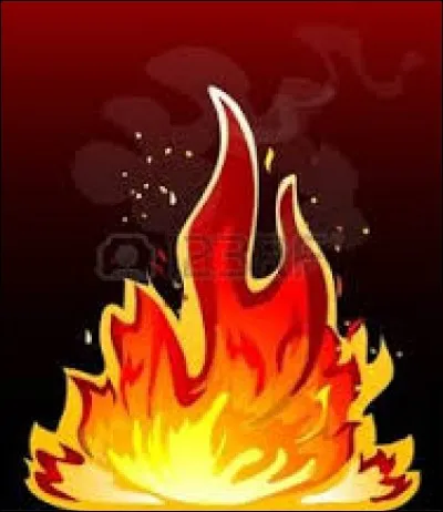 Qui a chanté ''En feu'' ?