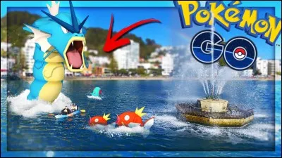 Quel est ce Pokémon ?