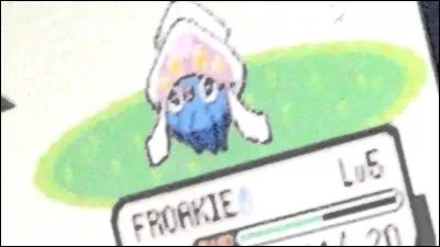 Quel est ce Pokémon ?