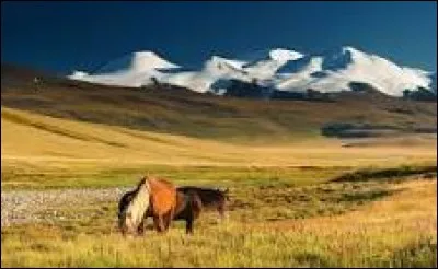 Quel pays a la densit&eacute; de population la plus faible du monde avec 1,5 habitants au kilom&egrave;tre carr&eacute; ?