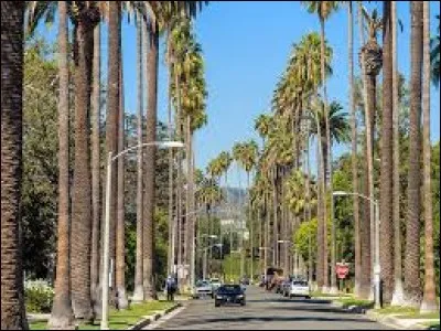 En 2015, quels sont les pays o&ugrave; vivent le plus de milliardaires ?