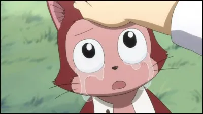 Quel est cet Exceed ?