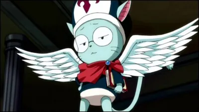 Quel est cet Exceed ?