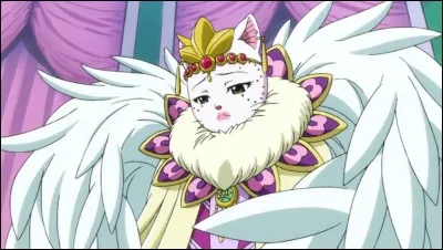 Quel est cet Exceed ?