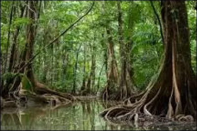 Quel département français a 99% de son territoire occupé par les surfaces forestières ?