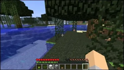 Quels sont les "types de jeux" que l'on peut jouer ?