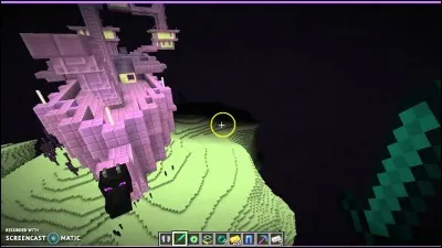 Quel objet rare peut-on obtenir dans un bateau, dans l'End ?